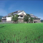 Traditional building overlooking vibrant rice field.