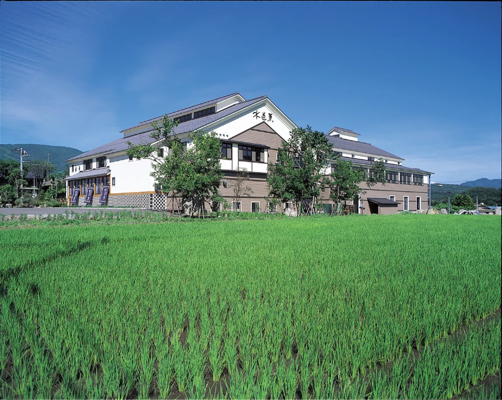 Traditional building overlooking vibrant rice field.